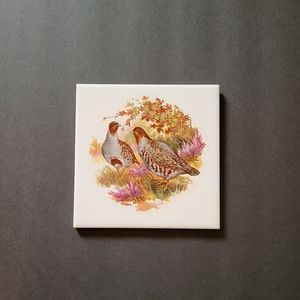 Hyalyn Tile Decor Trivit